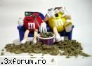 Acesta este un post demonstrativ - Vreti bomboane????? - Forum RuffSmock3rs