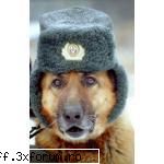 Acesta este un post demonstrativ - RuffSmock3r - Forum RuffSmock3rs