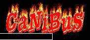 Acesta este un post demonstrativ - CaNiBuS - Forum RuffSmock3rs