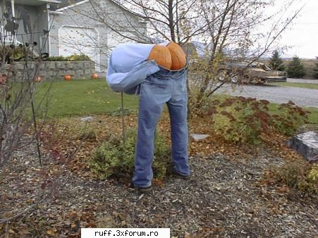 Acesta este un post demonstrativ - perfect ass .....:) - Forum RuffSmock3rs
