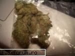 cu si despre weeeeeeeeeeeeeeeeeeeeeeddddddddd - this is what real weed looks like - Strictly Hip-Hop&Raggae